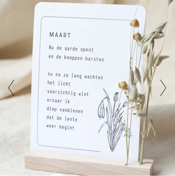 HOPE & JOY 12 Inspirerende Maandkaarten met Houten Houder - Afbeelding 3