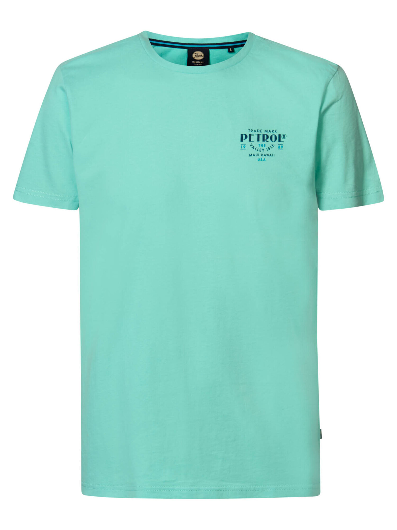 PETROL T-shirt Aqua Met Backprint
